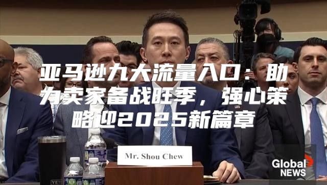 亚马逊九大流量入口：助力卖家备战旺季，强心策略迎2025新篇章
