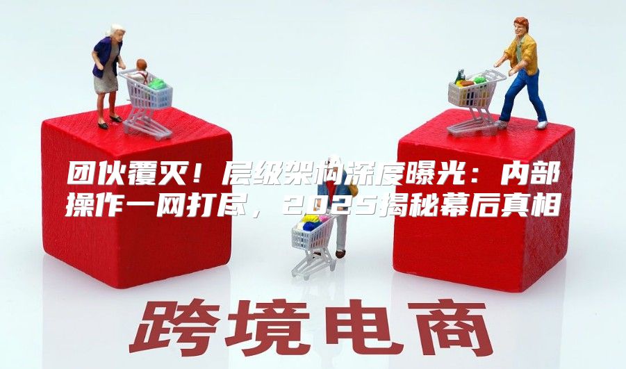 团伙覆灭！层级架构深度曝光：内部操作一网打尽，2025揭秘幕后真相