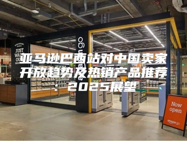 亚马逊巴西站对中国卖家开放趋势及热销产品推荐：2025展望