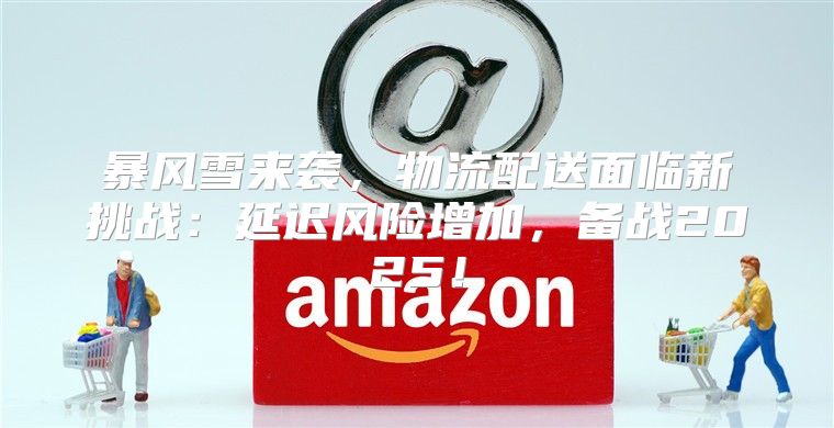 暴风雪来袭，物流配送面临新挑战：延迟风险增加，备战2025！