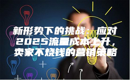 新形势下的挑战：应对2025流量成本上升，卖家不烧钱的营销策略