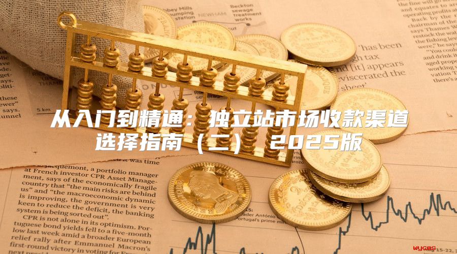 从入门到精通：独立站市场收款渠道选择指南二 2025版
