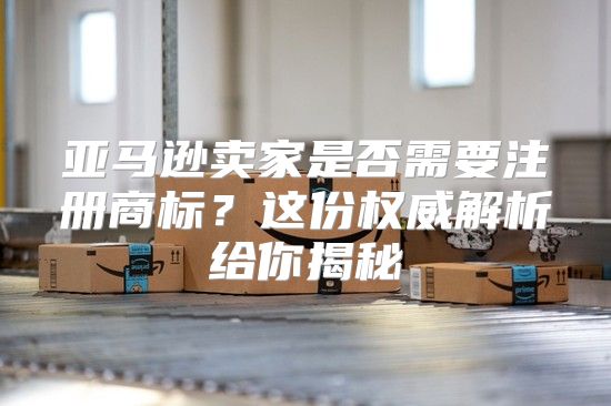亚马逊卖家是否需要注册商标？这份权威解析给你揭秘