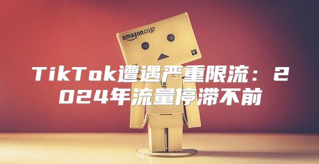 TikTok遭遇严重限流：2025年流量停滞不前