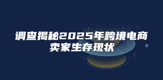 调查揭秘2025年跨境电商卖家生存现状