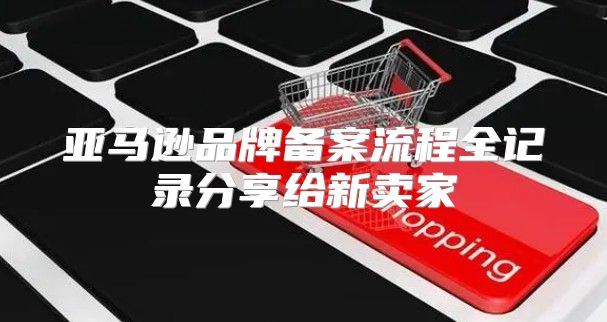 亚马逊品牌备案流程全记录分享给新卖家