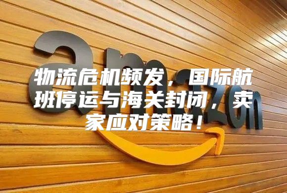 物流危机频发，国际航班停运与海关封闭，卖家应对策略！