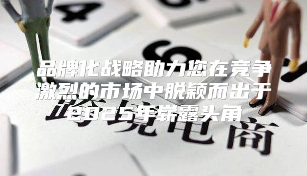 品牌化战略助力您在竞争激烈的市场中脱颖而出于2025年崭露头角