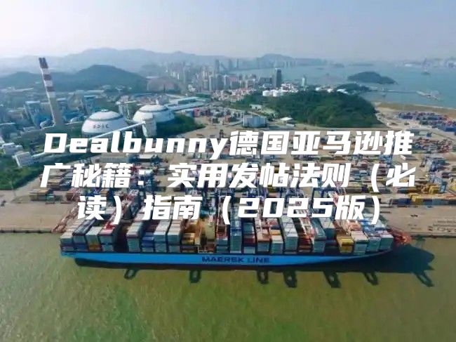 Dealbunny德国亚马逊推广秘籍：实用发帖法则必读指南2025版
