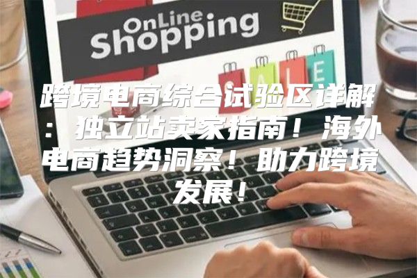 跨境电商综合试验区详解：独立站卖家指南！海外电商趋势洞察！助力跨境发展！