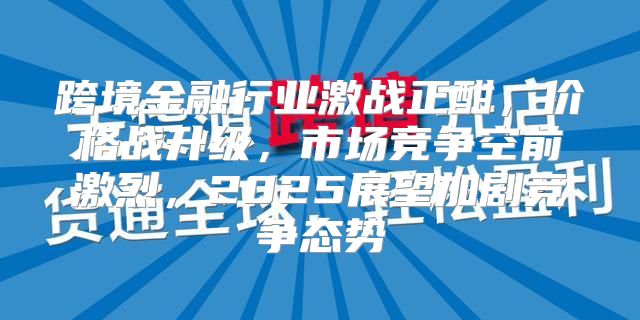跨境金融行业激战正酣，价格战升级，市场竞争空前激烈，2025展望加剧竞争态势