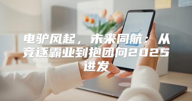 电驴风起，未来同航：从竞逐霸业到抱团向2025进发