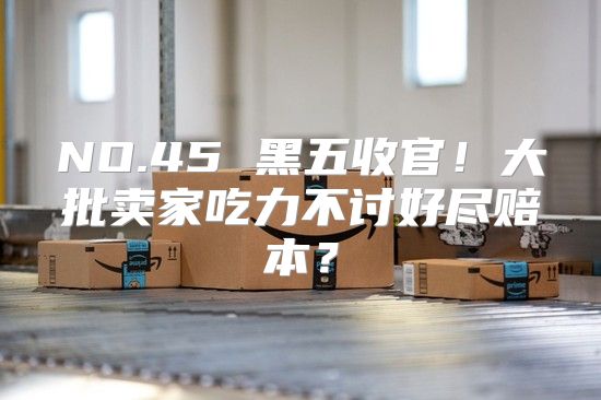 NO.45 黑五收官！大批卖家吃力不讨好尽赔本？