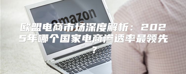 欧盟电商市场深度解析：2025年哪个国家电商渗透率最领先？