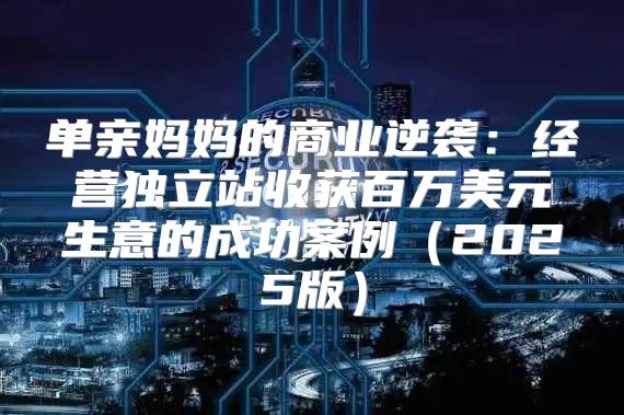 单亲妈妈的商业逆袭：经营独立站收获百万美元生意的成功案例2025版