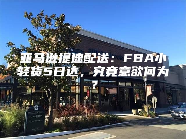 亚马逊提速配送：FBA小轻货5日达，究竟意欲何为？