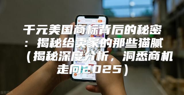 千元美国商标背后的秘密：揭秘给卖家的那些猫腻揭秘深度分析，洞悉商机走向2025