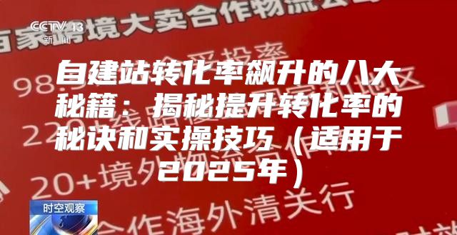 自建站转化率飙升的八大秘籍：揭秘提升转化率的秘诀和实操技巧适用于2025年