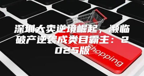 深圳大卖逆境崛起，濒临破产逆袭成类目霸主：2025版