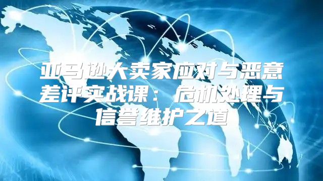 亚马逊大卖家应对与恶意差评实战课：危机处理与信誉维护之道