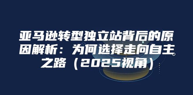 亚马逊转型独立站背后的原因解析：为何选择走向自主之路2025视角
