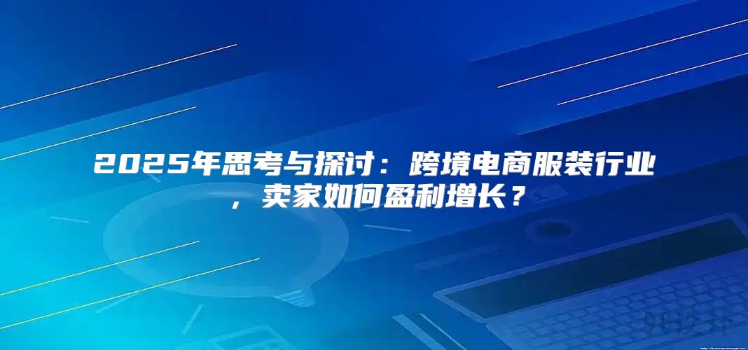 2025年思考与探讨：跨境电商服装行业，卖家如何盈利增长？