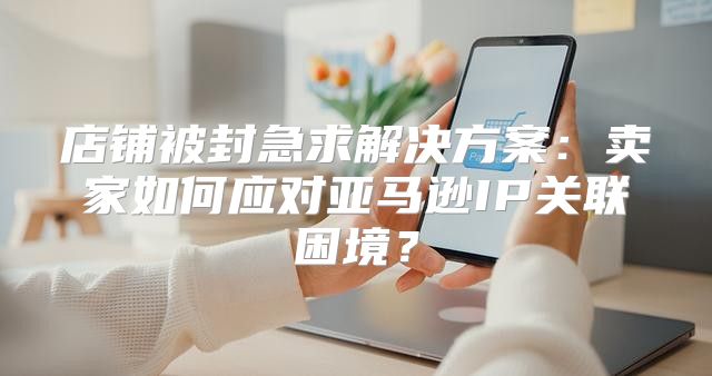 店铺被封急求解决方案：卖家如何应对亚马逊IP关联困境？