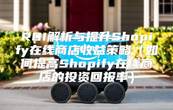ROI解析与提升Shopify在线商店收益策略如何提高Shopify在线商店的投资回报率
