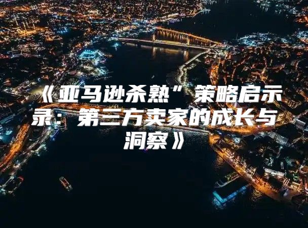 亚马逊杀熟”策略启示录：第三方卖家的成长与洞察