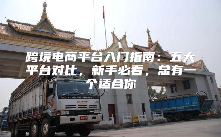 跨境电商平台入门指南：五大平台对比，新手必看，总有一个适合你