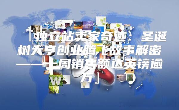 『独立站卖家奇迹：圣诞树大亨创业腾飞故事解密——一周销售额达英镑逾万』