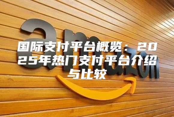 国际支付平台概览：2025年热门支付平台介绍与比较