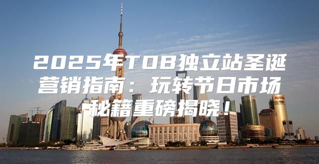 2025年TOB独立站圣诞营销指南：玩转节日市场秘籍重磅揭晓！