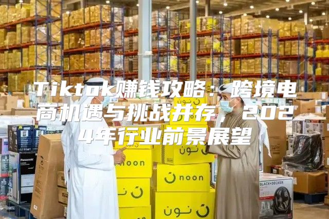 Tiktok赚钱攻略：跨境电商机遇与挑战并存，2025年行业前景展望