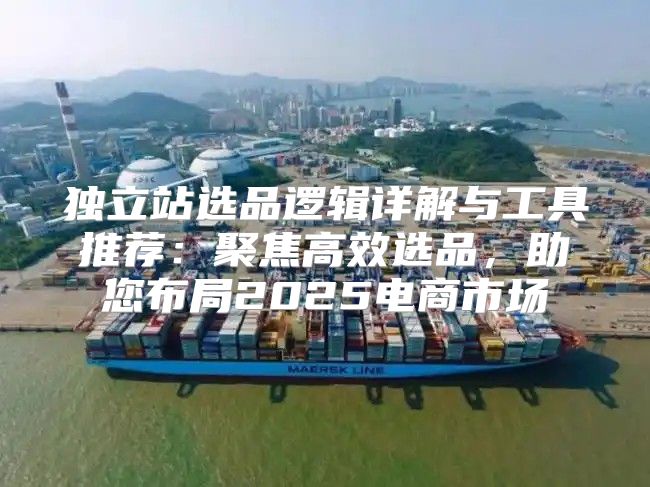 独立站选品逻辑详解与工具推荐：聚焦高效选品，助您布局2025电商市场