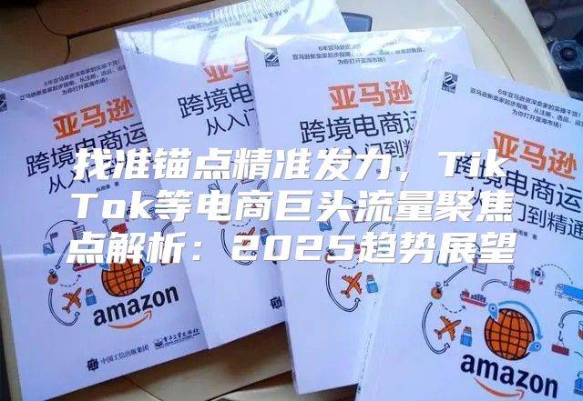 找准锚点精准发力，TikTok等电商巨头流量聚焦点解析：2025趋势展望