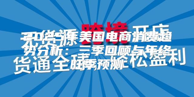 2025年美国电商消费趋势分析：三季回顾与年终旺季预测