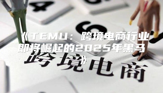 TEMU：跨境电商行业即将崛起的2025年黑马