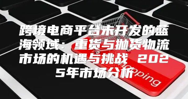 跨境电商平台未开发的蓝海领域：重货与抛货物流市场的机遇与挑战 2025年市场分析