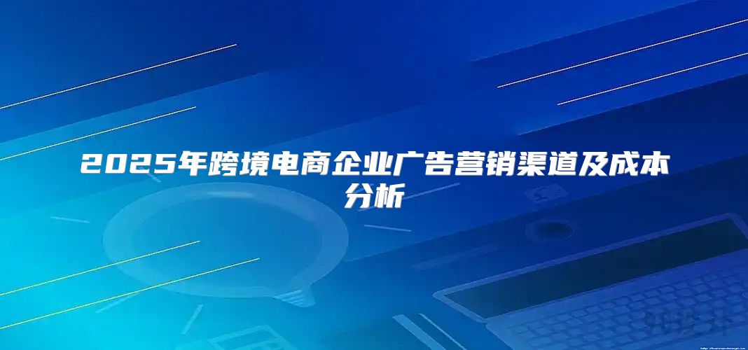 2025年跨境电商企业广告营销渠道及成本分析