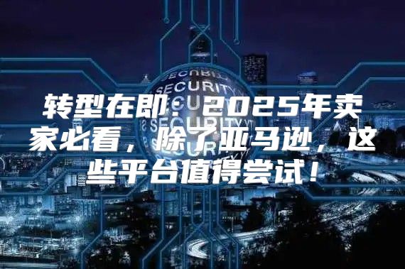 转型在即：2025年卖家必看，除了亚马逊，这些平台值得尝试！