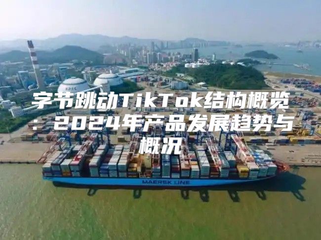 字节跳动TikTok结构概览：2025年产品发展趋势与概况