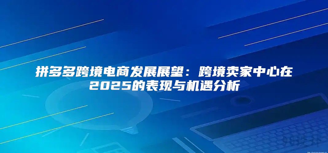 拼多多跨境电商发展展望：跨境卖家中心在2025的表现与机遇分析