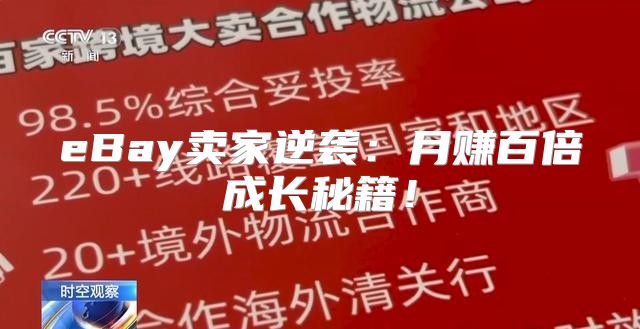 eBay卖家逆袭：月赚百倍成长秘籍！