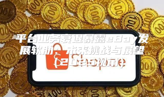 平台业务衰退暴露eBay发展软肋：未来挑战与展望2025视角