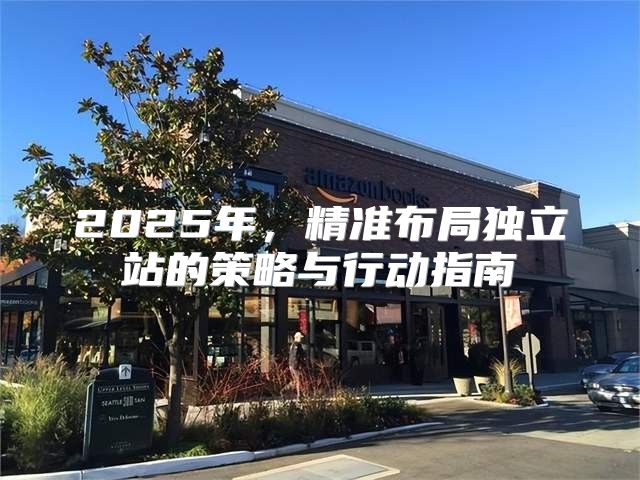 2025年，精准布局独立站的策略与行动指南