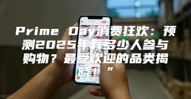 Prime Day消费狂欢：预测2025年有多少人参与购物？最受欢迎的品类揭晓！”
