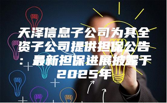 天泽信息子公司为其全资子公司提供担保公告：最新担保进展披露于2025年