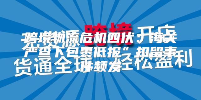 跨境物流危机四伏：海关严查下包裹低报”扣留事件频发