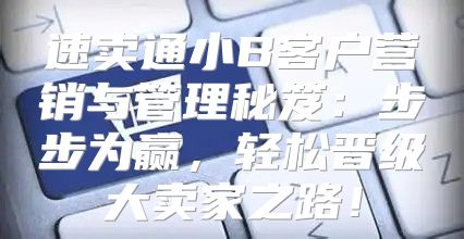 速卖通小B客户营销与管理秘笈：步步为赢，轻松晋级大卖家之路！